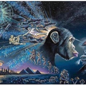 Meet your Posher, Bradley